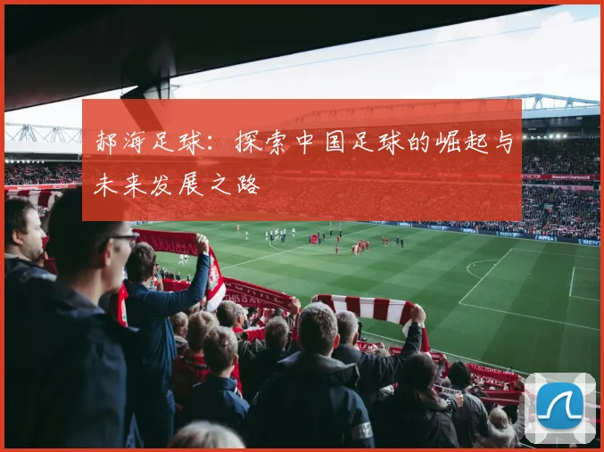 郝海足球：探索中国足球的崛起与未来发展之路