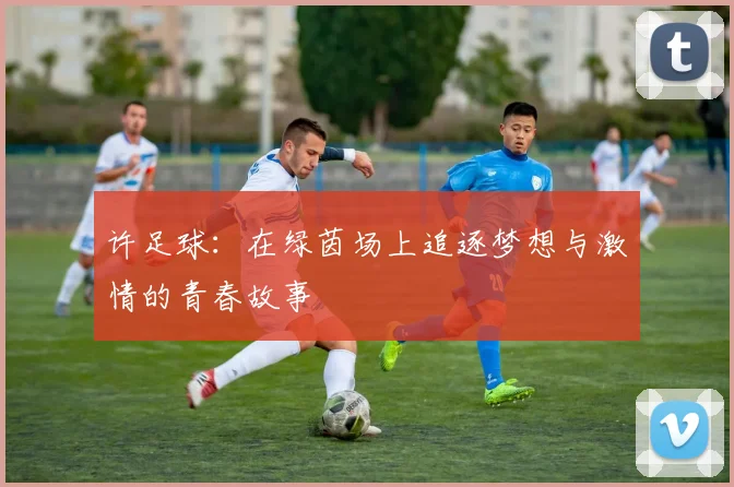 许足球：在绿茵场上追逐梦想与激情的青春故事