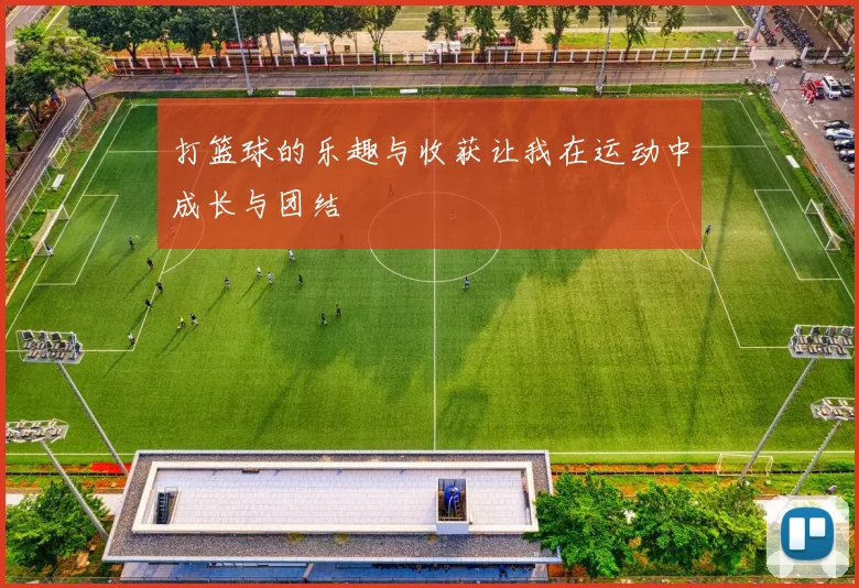 打篮球的乐趣与收获让我在运动中成长与团结